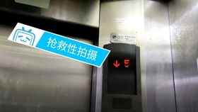 溫州文化商品市場(chǎng)的西子奧的斯貨梯