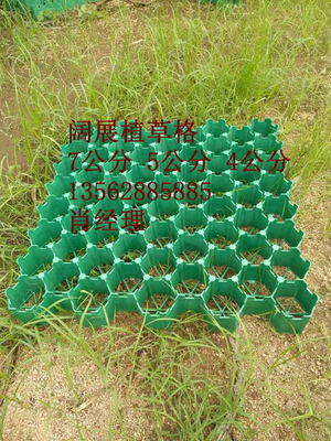 溫州5公分人行道植草格廠家2018全新產品價格公道闊展闊展
