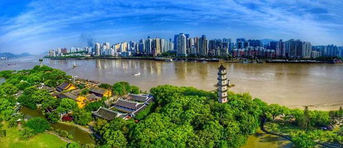 壽縣青少年龍舟隊(duì)出征全國(guó)賽，溫州賽場(chǎng)展風(fēng)采